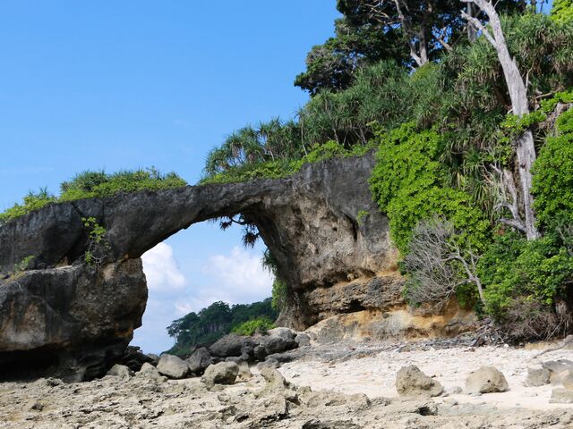 A natural rock arch on the shore of Neil Island, with forest above it