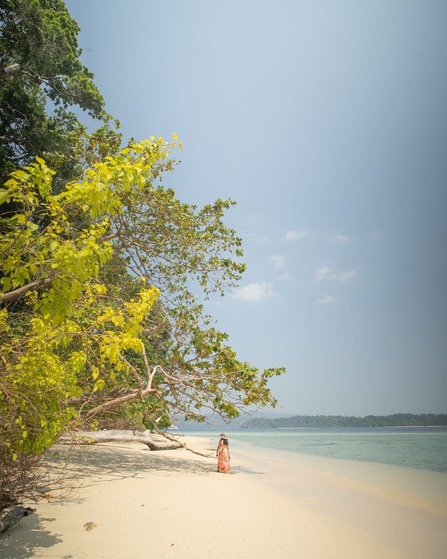 White sand and clear water in the Andaman Islands