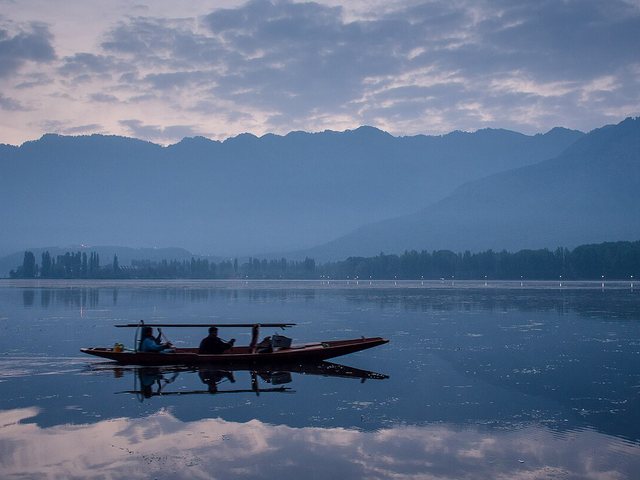A shikara gliding across a still Dal Lake at dawn, with the mountains reflected in the water