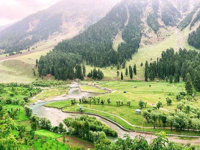 The Lidder river winding through the green meadows and pine forest of Betaab Valley near Pahalgam